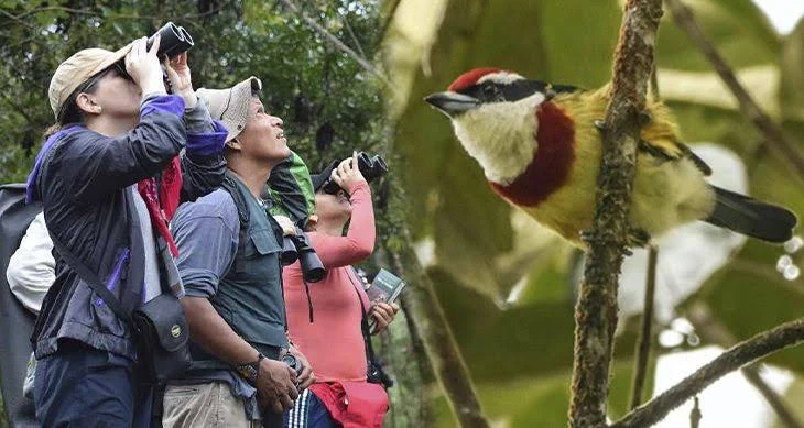 Observación de Aves y Turismo de Naturaleza